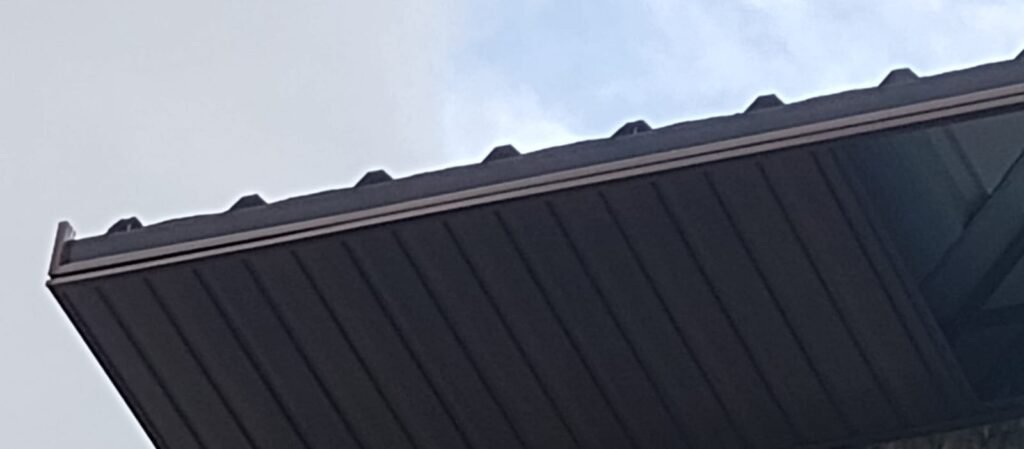 WhatsApp Image 2025-10-13 at 3.03.02 PM (1)